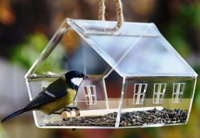 激光切割鳥屋 建筑鳥兒溫馨之家